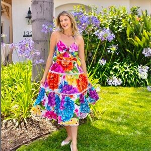 FARM Rio Rainbow Chita Floral Print Midi Dress Size Small